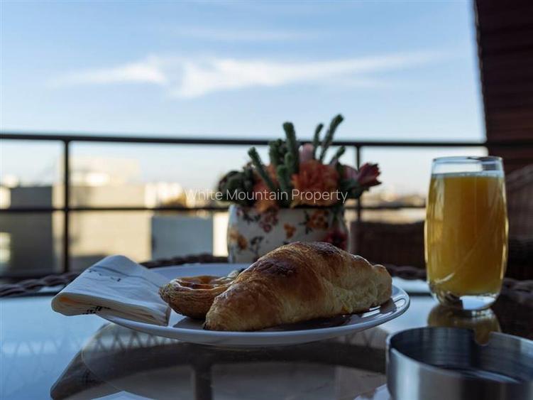 Penthouse 2 camere, inchiriere lunga durata, Herastrau - 14