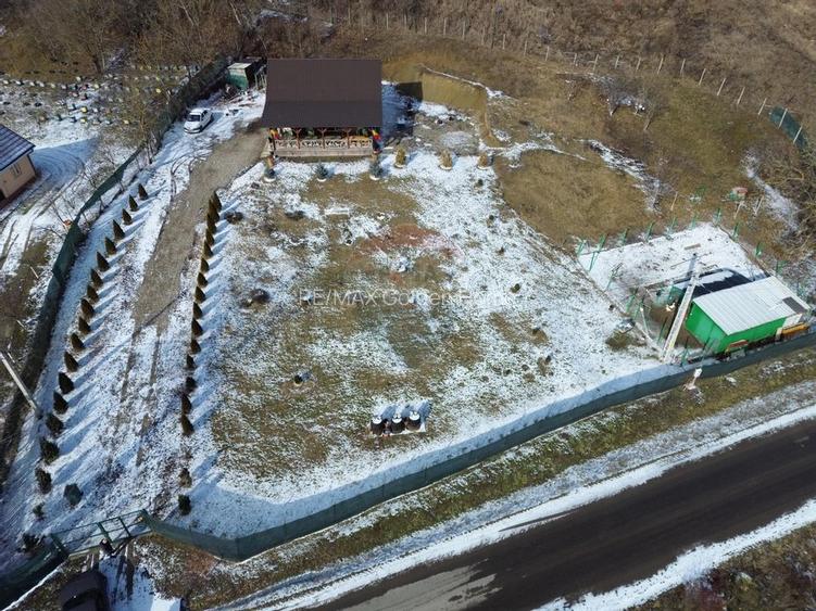 Casă / Vilă Coțofănești Bacău - 10