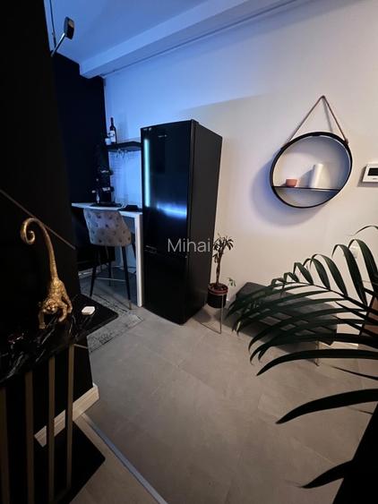 Studio dublu Aviatiei 10 min metrou Aviatiei , Promenada Mall sec 1 - 10