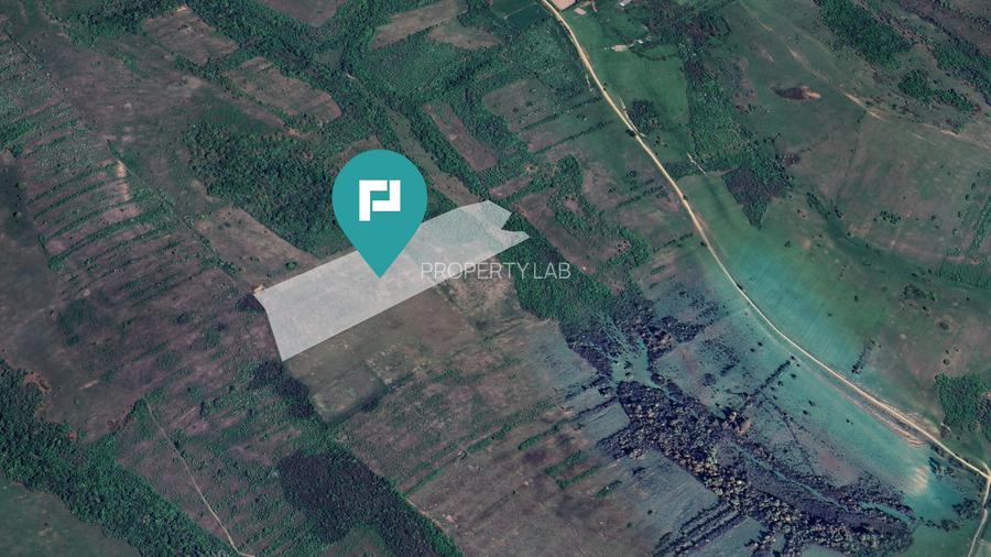 Teren arabil de 11,3 hectare în Bara, Timiș - 2