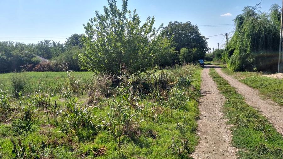 Teren intravilan 1800 mp/ BOTENI/ Ialomita/ COMISION 0% - 5