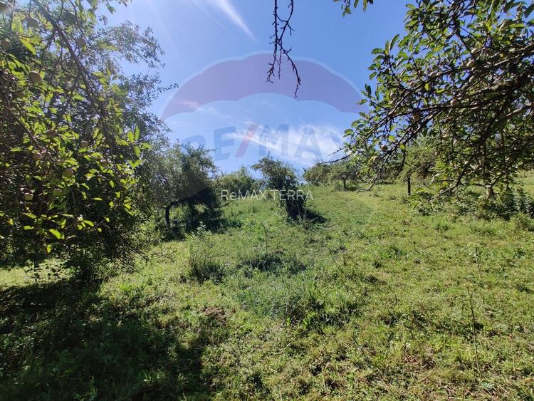 Teren intravilan in Remetea Chioarului - 6