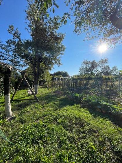 Casa individuala + anexa si gospodarie , 247 mp , 3 nivele, 1669 gradina, Gilau  - 12