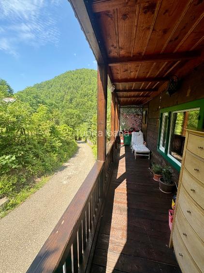 Casă în Pădure pe Valea Borcutului – 5 min de oraș | Direct Proprietar - 8