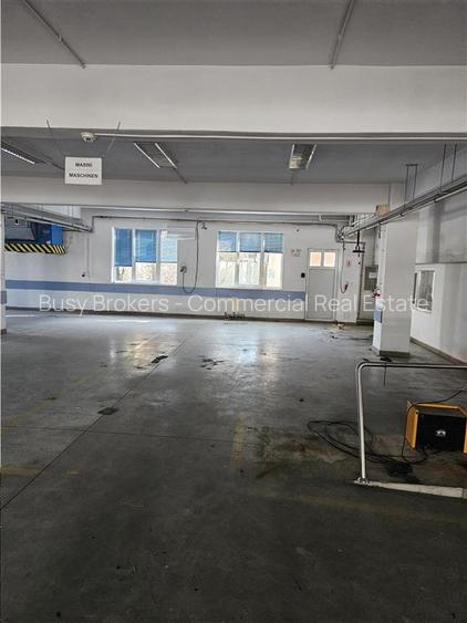 Exclusivitate - Proprietate Industriala De Vanzare - Productie - Depozitare - 14