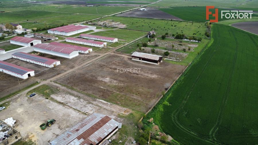 Teren intravilan cu suprafata de 58.340 mp, in Sanmartinul Sarbesc - 8