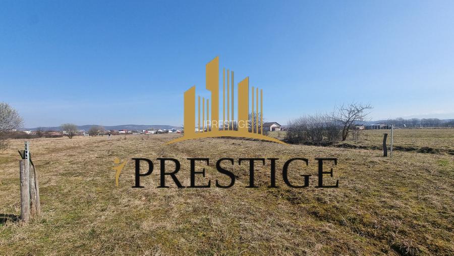 TEREN DE VÂNZARE 1000 MP ȘELIMBĂR ZONA TROIȚĂ | INVESTIȚIE - 3