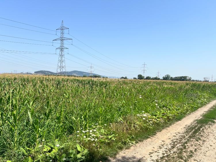 Teren intravilan Brașov - 2