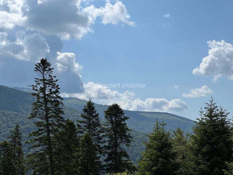 Sinaia, Furnica, 2025 - Pretul include apartament, loc de parcare si boxa!!! - 5