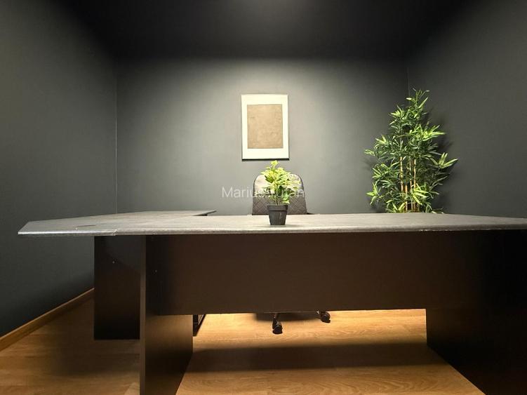 Spatiu comercial pretabil Birou - 4