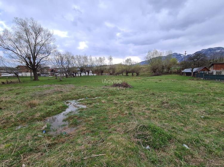 Teren Intravilan Tohanita - 4