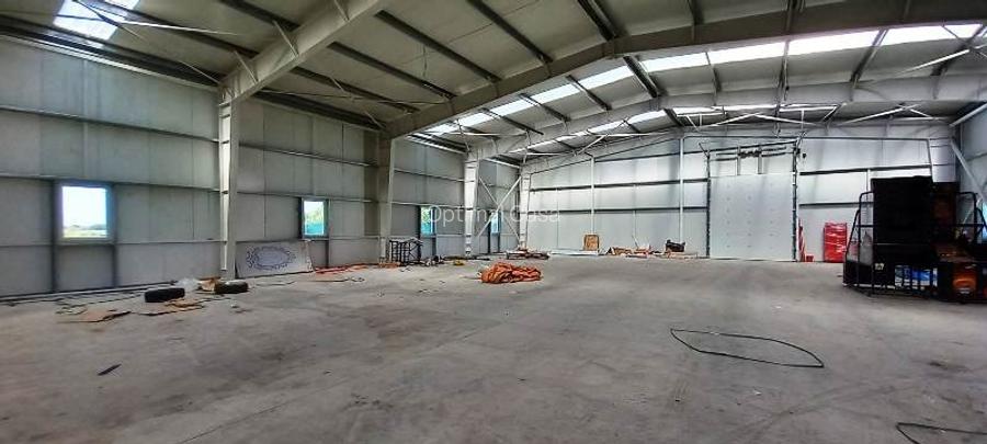 Magurele,hala 1000 mp,constructie noua ,ideal depozitare,productie - 14