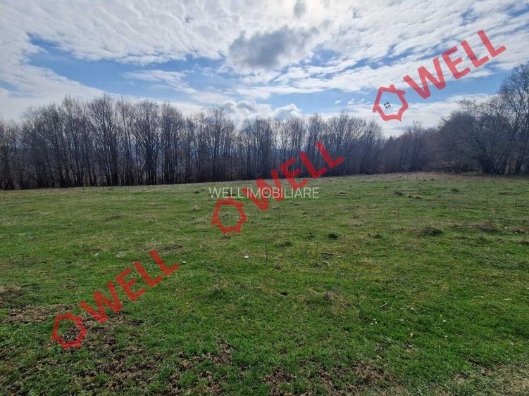 De vânzare teren extravilan în localitatea Brădet! - 5