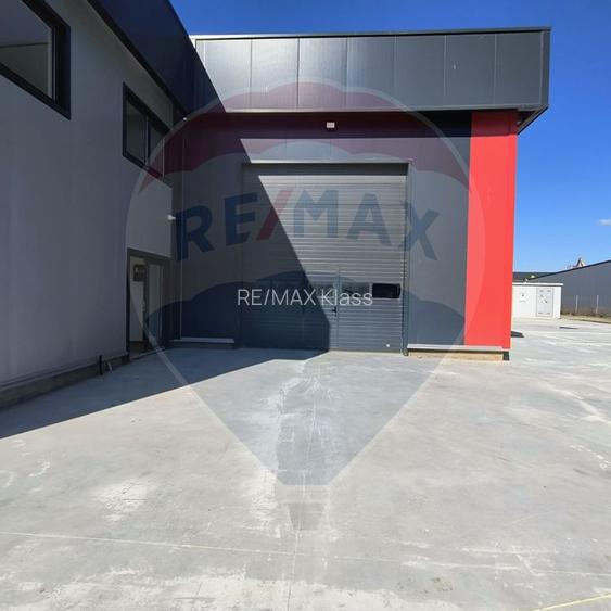 Hale noi de inchiriat Domnesti - putere instalata pana la 600kva - 7