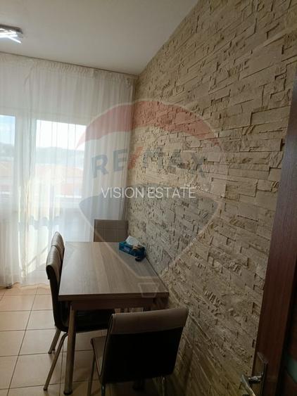 Apartament cu 2 camere de vanzare in zona George Enescu - 11