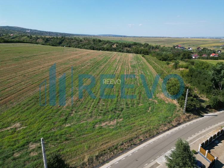 Teren de vânzare, Com. Sarata, Jud. Bacău - 6