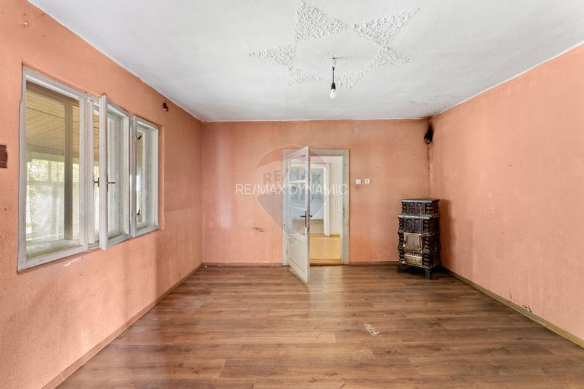 Casa spatioasa in Pancota ideala pentru doua familii - 7