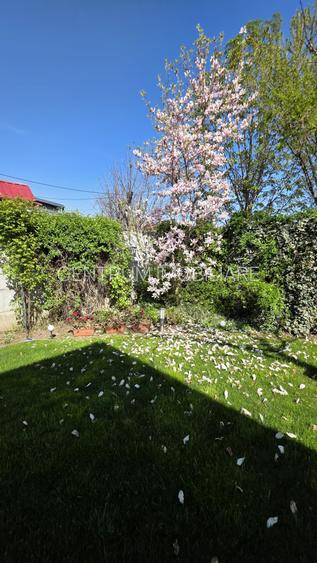 Inchiriere casa singur curte Voluntari - 5