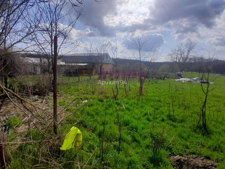 DE VANZARE TEREN 3400 MP IN SAT PODU ILFOVAT / COM BUTURUGENI (GR) - 22