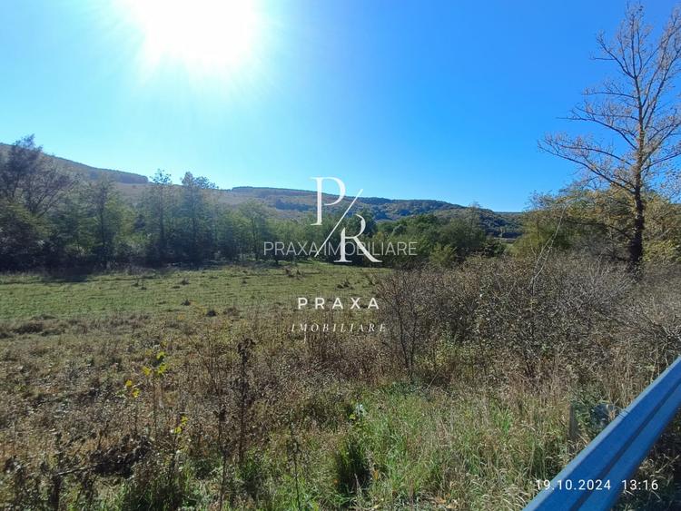 Teren extravilan, 2250 mp, in comuna Vultureni la iesirea spre Borsa! - 4