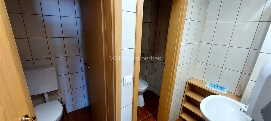Spatiu de inchiriat 240mp2 Calea Dumbravii - 10