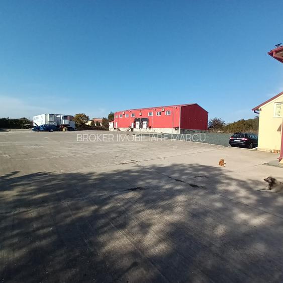 Depozit 600mp Techirghiol - 3