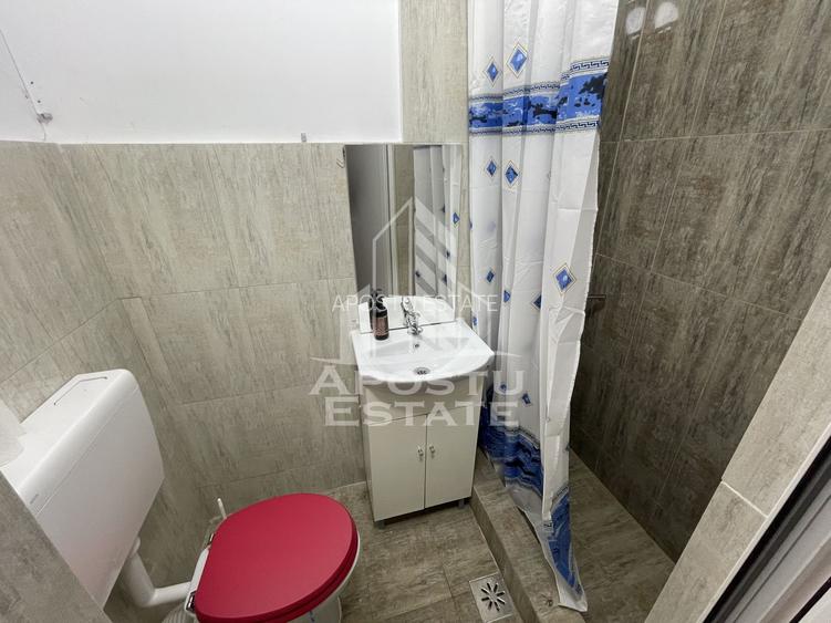 Spatiu comercial, 255 mp + curte betonata, Ronat - 6