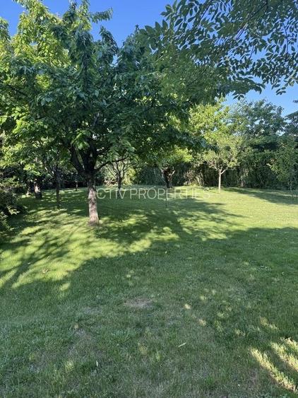 Vila 2005,S+P+E+M,living,dinning,3 dormitoare,3 bai,teren 2090mp,piscina,garaj - 9