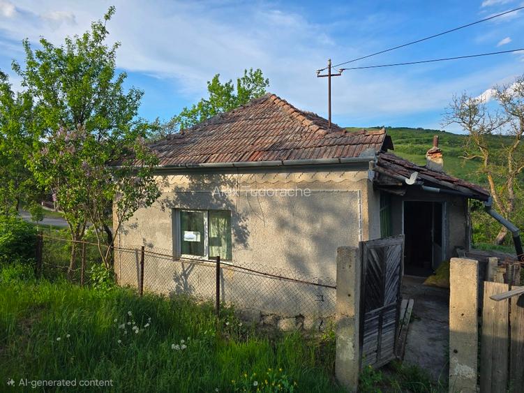 TEREN INTRAVILAN CU POTENȚIAL 2 CASE | SIC, CLUJ - 4