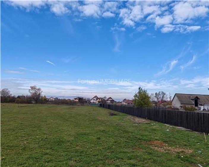 Teren intravilan cu utilitati Bod Sat, Comision 0% - 6