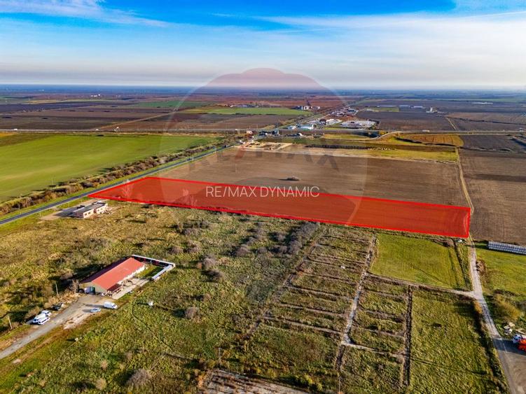 Teren 29220 mp Pecica,DN7, langa autostrada- Ideal pentru afaceri - 7