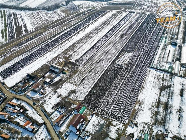 Lot construibil 6.425 mp,Dobolii de Jos, oportun:proiecte rezidentiale amplasame - 7