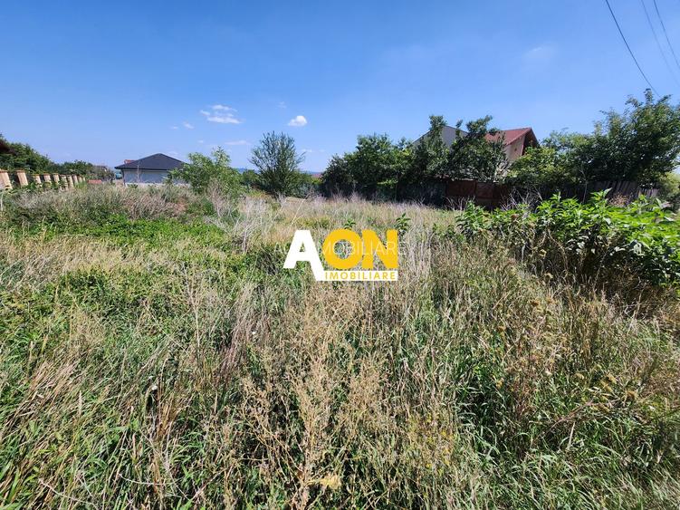 De vanzare 998mp teren intravilan, partea stanga Alba-Micesti - 3