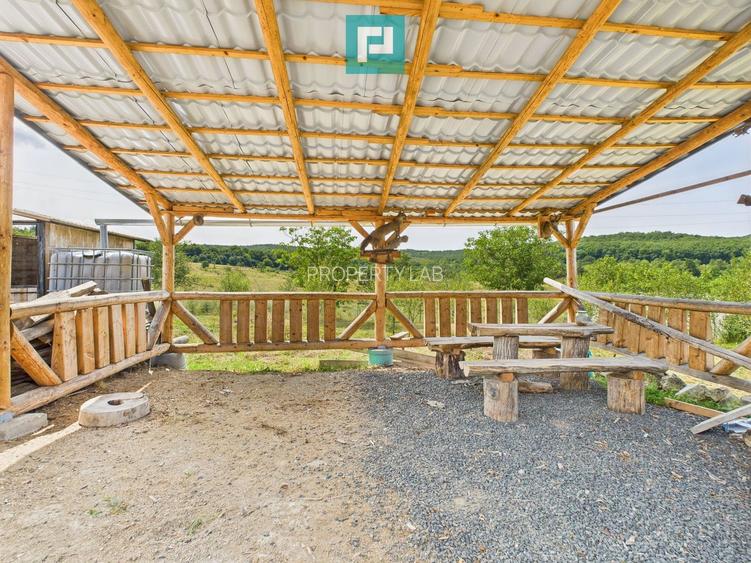 Casă renovată cu teren generos lângă Ususău - 8