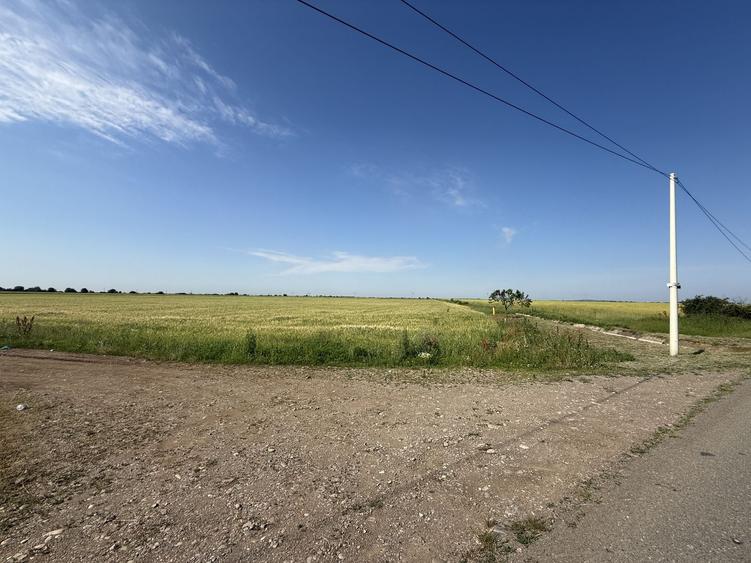Teren 10 hectare pretabil pt panouri solare-Aricesti Rahtivani