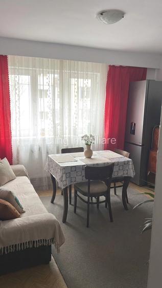Apartament cu 2 camere, 42 mp, decomandat, etaj intemediar, zona Clabucet - 2