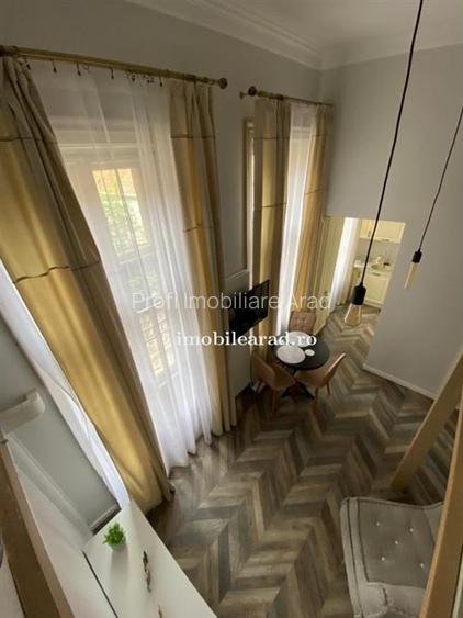 Apartament 60 Euro pe zi, amenajat in stil unic langa Primaria Arad - 15