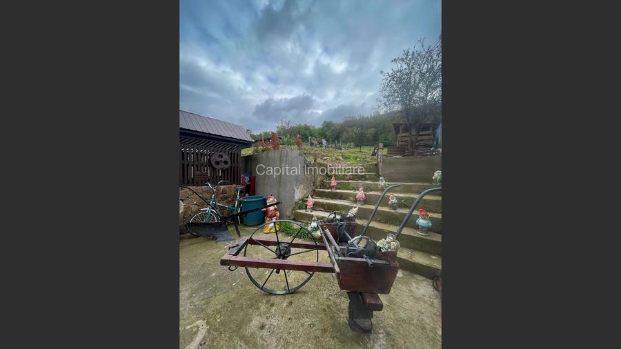 Casa la cheie, Poiana Golului - 8