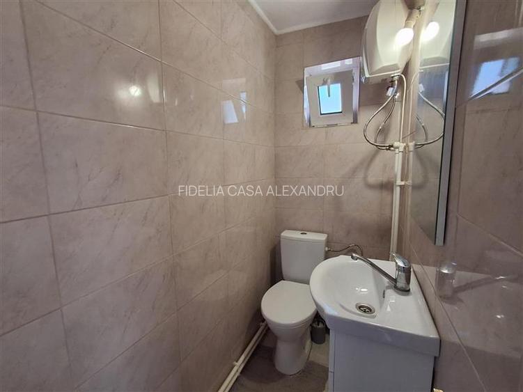 3 case + 808mp teren - Letcani,Iasi - 9