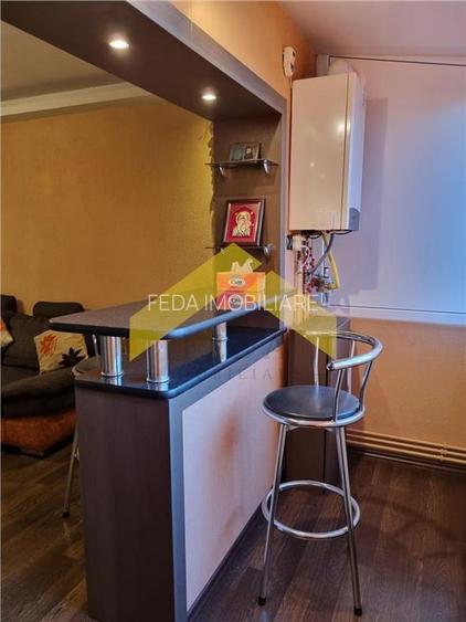 Apartament de inchiriat Aradul Nou - 13