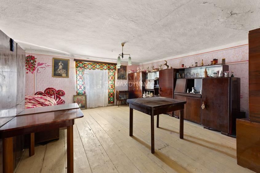 Gospodarie autentică bănățeană, cu teren generos și livadă – Frumușeni - 10