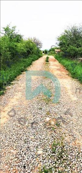 Vanzare teren intravilan, Sanpetru, Livada - 12