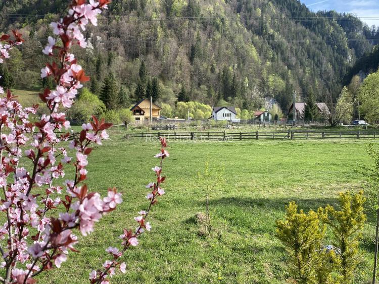Teren panoramic insorit, utilitati, panta mica si padure, turism sau vacanta - 3