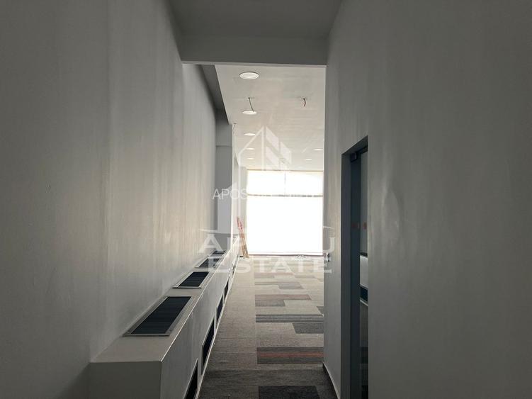 Spatiu comercial 100 mp Ultracentral, Timisoara - 15