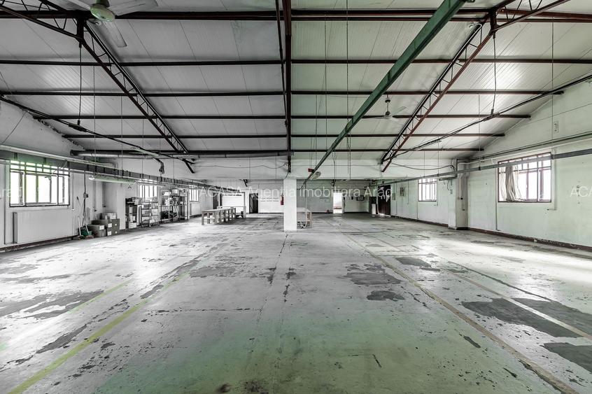 4.049 mp Hale industriale în Arad, aproape de A1 - 18