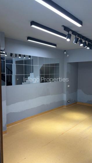 Spatiu comercial Bulebadrul Decebal - 2