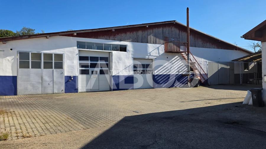 Spatiu industrial de 300 mp de inchiriat in Sebes Alba - 2