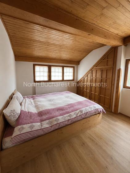 CABANA IN ZONA SINAIA - TEREN 550MP - 10
