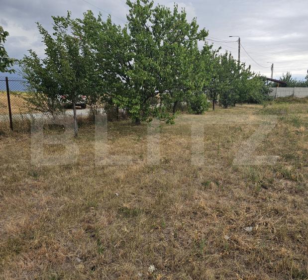 Teren intravilan 762 mp in Carcea