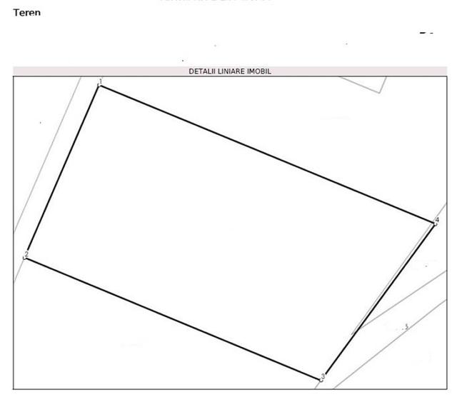 TEREN DE VANZARE 10.000 MP - 2